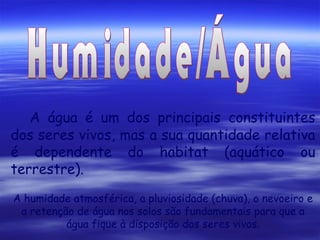 A água é um dos principais constituintes
dos seres vivos, mas a sua quantidade relativa
é dependente do habitat (aquático ou
terrestre).
A humidade atmosférica, a pluviosidade (chuva), o nevoeiro e
a retenção de água nos solos são fundamentais para que a
água fique à disposição dos seres vivos.

 