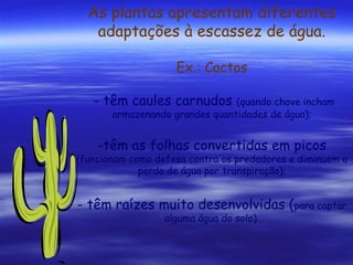 As plantas apresentam diferentes
adaptações à escassez de água.
Ex.: Cactos
- têm caules carnudos

(quando chove incham
armazenando grandes quantidades de água);

-têm as folhas convertidas em picos

(funcionam como defesa contra os predadores e diminuem a
perda de água por transpiração);

- têm raízes muito desenvolvidas (para captar
alguma água do solo).

 