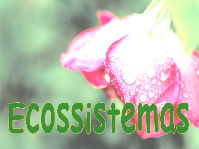 A vida no nosso planeta iniciou-se há cerca de
3800 M.a.
Ao longo da História da Terra verificaram-se
modificações físicas...