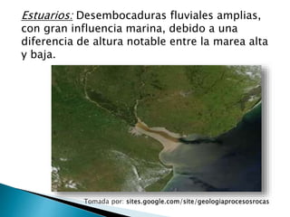 Estuarios: Desembocaduras fluviales amplias, 
con gran influencia marina, debido a una 
diferencia de altura notable entre la marea alta 
y baja. 
 