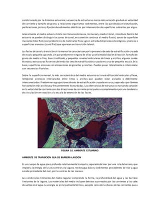 condicionado por la dinámica estuarina; secuencia de estructuras marcando variación gradual en velocidad
de corriente y tamaño de grano, y relaciones organismos-sedimentos, entre las que destacan bioturbación,
perforaciones,pistas y fijación desedimentos detríticos por intervención de superficies cubiertas por algas.
Lateralmente el medio estuario limita con llanurasdemarea,río mareal y medio litoral, shoreface.Dentro del
estuario se pueden distinguir las zonas de canal, en conexión continua al medio fluvial, zonas de superficies
mareales (tidal flats) con predominio de materiales finos y gran actividad deprocesos biológicos,y bancos o
superficies arenosas (sand flat) que aparecen en transición lateral.
Las facies decanal y transición al río mareal secaracterizan por la presenciadesets de estratificación cruzada
de escala pequeña y grande, sin que predomine ninguna de ellas y con bimodalidad en dirección.Tamaño de
grano de medio a fino, bien clasificado, y pequeños niveles lenticulares de limos y arcillas, algunos cantos
blandos y estructuras flaser recubriendo los sets de estratificación cruzada en surco de pequeña escala.En la
base, superficies erosivas con alineaciones de gravillas y conchas. Pueden pasar lateralmente o intercalarse
con secuencias fluviales.
Sobre la superficie mareal, lo más característico del medio estuario es la estratificación lenticular y flaser,
lentejones arenosos intercalados entre limos y arcillas que pueden estar aislados o débilmente
interconectados.Predominan agrupaciones desets deestratificación cruzada en surco,separadospor láminas
horizontales más arcillosasy frecuentemente bioturbadas.Las alternanciasdeestructuras marcando variación
en la velocidad decorrientecon dos direcciones decorrienteprincipales secomplementan por una tendencia
de circulación en rotación a la escala de extensión de las facies.
FIGURA 10. AMBIENTE ESTUARINO
AMBIENTE DE TRANSICION ISLA DE BARRERA-LAGOON
Es un cuerpo de agua poco profunda relativamente tranquila,separado del mar por una isla debarrera,que
impide a la energía de las olas entrar a la laguna.recibeagua dulce y sedimentos procedentes de ríos y agua
salada procedente del mar, por las entras de las mareas.
Las condiciones limitantes del medio lagunar comprende la forma, la profundidad del agua y las barreras
limitantes de la laguna. Los materiales del medio incluyen detritos acarreados por las corrientes y las sales
disueltas en el agua.La energía es principalmentetérmica, excepto cerca de las bocas delas corrientes que a
 