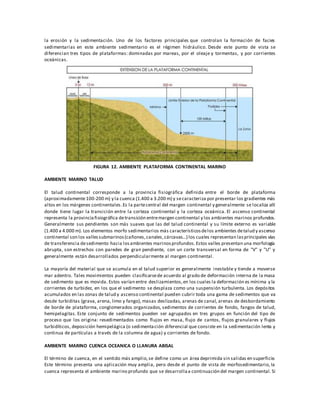 la erosión y la sedimentación. Uno de los factores principales que controlan la formación de facies
sedimentarias en este ambiente sedimentario es el régimen hidráulico. Desde este punto de vista se
diferencian tres tipos de plataformas: dominadas por mareas, por el oleaje y tormentas, y por corrientes
oceánicas.
FIGURA 12. AMBIENTE PLATAFORMA CONTINENTAL MARINO
AMBIENTE MARINO TALUD
El talud continental corresponde a la provincia fisiográfica definida entre el borde de plataforma
(aproximadamente100-200 m) y la cuenca (1.400 a 3.200 m) y secaracteriza por presentar los gradientes más
altos en los márgenes continentales.Es la partecentral del margen continental y generalmente se localiza allí
donde tiene lugar la transición entre la corteza continental y la corteza oceánica. El ascenso continental
representa la provinciafisiográfica detransición entremargen continental y los ambientes marinos profundos.
Generalmente sus pendientes son más suaves que las del talud continental y su límite externo es variable
(1.400 a 4.000 m). Los elementos morfo sedimentarios más característicosdelos ambientes detalud y ascenso
continental son los vallessubmarinos(cañones,canales,cárcavas...) los cuales representan lasprincipales vías
de transferencia desedimento hacia losambientes marinosprofundos.Estos valles presentan una morfología
abrupta, son estrechos con paredes de gran pendiente, con un corte transversal en forma de "V" y "U" y
generalmente están desarrollados perpendicularmente al margen continental.
La mayoría del material que se acumula en el talud superior es generalmente inestable y tiende a moverse
mar adentro. Tales movimientos pueden clasificarsede acuerdo al grado de deformación interna de la masa
de sedimento que es movida. Estos varían entre deslizamientos,en los cuales la deformación es mínima y la
corrientes de turbidez, en los que el sedimento se desplaza como una suspensión turbulenta. Los depósitos
acumulados en las zonas de talud y ascenso continental pueden cubrir toda una gama de sedimentos que va
desde turbiditas (grava, arena, limo y fango), masas deslizadas, arenas de canal, arenas de desbordamiento
de borde de plataforma, conglomerados organizados, sedimentos de corrientes de fondo, fangos de talud,
hemipelagitas. Este conjunto de sedimentos pueden ser agrupados en tres grupos en función del tipo de
proceso que los origina: resedimentados como flujos en masa, flujo de cantos, flujos granulares y flujos
turbidíticos, deposición hemipelágica (o sedimentación diferencial que consiste en la sedimentación lenta y
continua de partículas a través de la columna de agua) y corrientes de fondo.
AMBIENTE MARINO CUENCA OCEANICA O LLANURA ABISAL
El término de cuenca, en el sentido más amplio,se define como un área deprimida sin salidas en superficie.
Este término presenta una aplicación muy amplia, pero desde el punto de vista de morfosedimentario, la
cuenca representa el ambiente marino profundo que se desarrollaa continuación del margen continental.Si
 