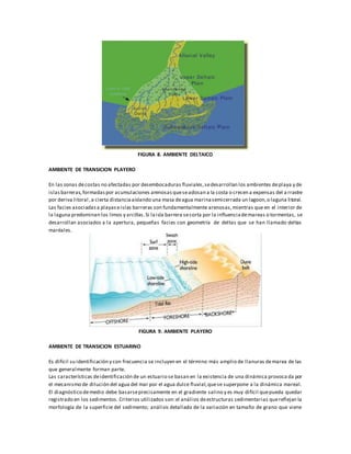 FIGURA 8. AMBIENTE DELTAICO
AMBIENTE DE TRANSICION PLAYERO
En las zonas decostas no afectadas por desembocaduras fluviales,sedesarrollan los ambientes deplaya y de
islasbarreras,formadaspor acumulaciones arenosasqueseadosan a la costa o crecen a expensas del a rrastre
por deriva litoral ,a cierta distanciaaislando una masa deagua marinasemicerrada un lagoon,o laguna litoral.
Las facies asociadasa playaseislas barreras son fundamentalmente arenosas,mientras que en el interior de
la laguna predominan los limos y arcillas.Si laisla barrera secorta por la influenciademareas o tormentas, se
desarrollan asociados a la apertura, pequeñas facies con geometría de deltas que se han llamado deltas
maréales.
FIGURA 9. AMBIENTE PLAYERO
AMBIENTE DE TRANSICION ESTUARINO
Es difícil su identificación y con frecuencia se incluyen en el término más amplio de llanuras demarea de las
que generalmente forman parte.
Las características deidentificación de un estuario se basan en la existencia de una dinámica provoca da por
el mecanismo de dilución del agua del mar por el agua dulce fluvial,quese superpone a la dinámica mareal.
El diagnóstico demedio debe basarseprecisamente en el gradiente salino y es muy difícil quepueda quedar
registrado en los sedimentos. Criterios utilizados son:el análisis deestructuras sedimentarias quereflejan la
morfología de la superficie del sedimento; análisis detallado de la variación en tamaño de grano que viene
 