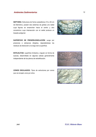 Ambientes Sedimentarios
2005
SEPTARIA: Estructura de forma subesferica (15 a 40 cm
de Diámetro), poseen dos sistemas de grietas uno radial
cuya figuras se ensanchan hacia el centro y otro
concéntrico cuya intersección con el radial produce un
trazado poligonal.
SUPERFICIE DE PRESIÓN
presiones o esfuerzos dirigidos, depositándose los
residuos de disolución a lo largo de la superficie.
ESTILOLITAS: superficie limitante y regular en forma de
suturas, desarrollada en algunas calizas ge
independiente de los planos de estratificación.
CONOS ENCAJADOS: Tipos de estructuras por conos
que se encajan unos por otros.
Ambientes Sedimentarios
T.S.U. Heberto O
Estructura de forma subesferica (15 a 40 cm
de Diámetro), poseen dos sistemas de grietas uno radial
cuya figuras se ensanchan hacia el centro y otro
concéntrico cuya intersección con el radial produce un
SUPERFICIE DE PRESIÓN-DISOLUCIÓN: surge por
presiones o esfuerzos dirigidos, depositándose los
residuos de disolución a lo largo de la superficie.
superficie limitante y regular en forma de
suturas, desarrollada en algunas calizas generalmente
independiente de los planos de estratificación.
Tipos de estructuras por conos
que se encajan unos por otros.
T.S.U. Heberto Olano
12
 