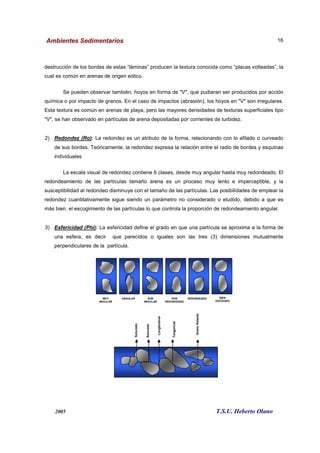 Ambientes Sedimentarios
2005 T.S.U. Heberto Olano
16
destrucción de los bordes de estas “láminas” producen la textura conocida como “placas volteadas”, la
cual es común en arenas de origen eólico.
Se pueden observar también, hoyos en forma de "V", que pudieran ser producidos por acción
química o por impacto de granos. En el caso de impactos (abrasión), los hoyos en "V" son irregulares.
Esta textura es común en arenas de playa, pero las mayores densidades de texturas superficiales tipo
"V", se han observado en partículas de arena depositadas por corrientes de turbidez.
2) Redondez (Ro): La redondez es un atributo de la forma, relacionando con lo afilado o curveado
de sus bordes. Teóricamente, la redondez expresa la relación entre el radio de bordes y esquinas
individuales
La escala visual de redondez contiene 6 clases, desde muy angular hasta muy redondeado. El
redondeamiento de las partículas tamaño arena es un proceso muy lento e imperceptible, y la
susceptibilidad al redondeo disminuye con el tamaño de las partículas. Las posibilidades de emplear la
redondez cuantitativamente sigue siendo un parámetro no considerado o eludido, debido a que es
más bien, el escogimiento de las partículas lo que controla la proporción de redondeamiento angular.
3) Esfericidad (Phi): La esfericidad define el grado en que una partícula se aproxima a la forma de
una esfera, es decir que parecidos o iguales son las tres (3) dimensiones mutualmente
perpendiculares de la partícula.
MUY
ANGULAR
ANGULAR SUB
ANGULAR
SUB
REDONDEADO
REDONDEADO BIEN
ESCOGIDO
Suturado
Longitudinal
Tangencial
Granoflotante
Suturado
 