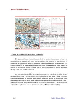 Ambientes Sedimentarios
2005 T.S.U. Heberto Olano
41
ANÁLISIS DE SEM (Escáner Microscópica Electrónica):
Este tipo de análisis permite identificar, además de las características texturales de los granos
que constituyen el esqueleto de la roca, el origen de las arcillas presentes ya sean detríticas y/o
autigénicas, así como también la relación diagenética y carácter del sistema de poros presentes. Para
el estudio SEM/EDS, las muestras fueron partidas para formar superficies frescas. Cada muestra fue
montada en un soporte de aluminio y cubierta con una película delgada de una aleación Oro-Paladio
(Au-Pd) usando una unidad de cubrimiento.
Las fotomicrografías de SEM son imágenes de electrones secundarios tomadas con una
cámara polaroid anexa a un microscopio electrónico de barrido que opera a 20kv. Los datos
cualitativos elementales de las fases seleccionadas observadas durante el estudio SEM fueron
obtenidos por medio del uso de una unidad interfaceadora conectado a un Espectroscopio de Rayos X
de Energía Dispersada (Rayos X elemental; EDS) equipada con un detector Si (Li). El reconocimiento
de las arcillas autigénicas se basa en el criterio propuesto por Wilson and Pittman (1977).
 