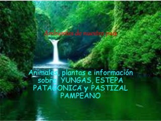 Ambientes de nuestro país
Animales, plantas e información
sobre, YUNGAS, ESTEPA
PATAGONICA y PASTIZAL
PAMPEANO
 