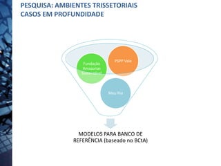 MODELOS PARA BANCO DE
REFERÊNCIA (baseado no BCtA)
Meu Rio
Fundação
Amazonas
Sustentável
PSPP Vale
PESQUISA: AMBIENTES TRISSETORIAIS
CASOS EM PROFUNDIDADE
 