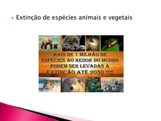  Extinção de espécies animais e vegetais
 
