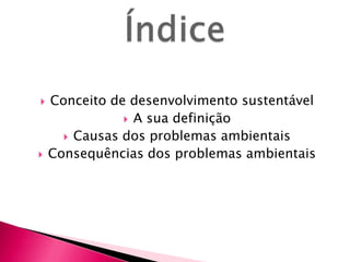  Conceito de desenvolvimento sustentável
 A sua definição
 Causas dos problemas ambientais
 Consequências dos problemas ambientais
 