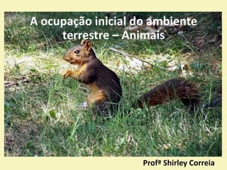 A ocupação inicial do ambiente
terrestre – Animais
Profª Shirley Correia
 
