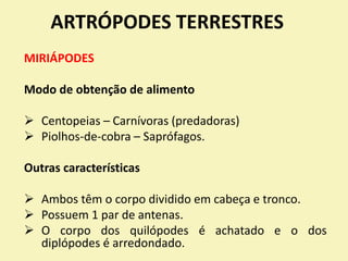 ARTRÓPODES TERRESTRES
MIRIÁPODES
Modo de obtenção de alimento
 Centopeias – Carnívoras (predadoras)
 Piolhos-de-cobra – Saprófagos.
Outras características
 Ambos têm o corpo dividido em cabeça e tronco.
 Possuem 1 par de antenas.
 O corpo dos quilópodes é achatado e o dos
diplópodes é arredondado.
 