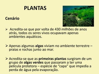 PLANTAS
Cenário
 Acredita-se que por volta de 430 milhões de anos
atrás, todos os seres vivos ocupavam apenas
ambientes aquáticos.
 Apenas algumas algas viviam no ambiente terrestre –
praias e rochas junto ao mar.
 Acredita-se que as primeiras plantas surgiram de um
grupo de algas verdes que passaram a ter uma
película protetora – espécie de “capa” que impedia a
perda de água pela evaporação.
 