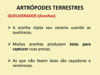 ARTRÓPODES TERRESTRES
QUELICERADOS (Aranhas)
 A aranha injeta seu veneno usando as
quelíceras.
 Muitas aranhas produzem teias para
capturar suas presas.
 As que não fazem teias são caçadoras e
venenosas.
 