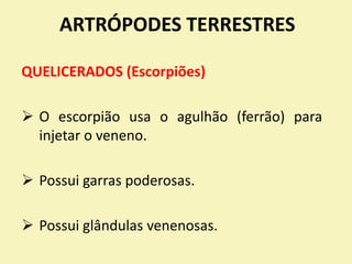 ARTRÓPODES TERRESTRES
QUELICERADOS (Escorpiões)
 O escorpião usa o agulhão (ferrão) para
injetar o veneno.
 Possui garras poderosas.
 Possui glândulas venenosas.
 
