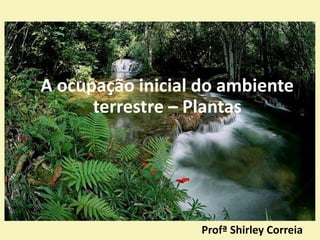 Profª Shirley Correia
A ocupação inicial do ambiente
terrestre – Plantas
 