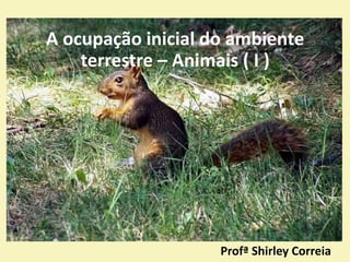A ocupação inicial do ambiente
terrestre – Animais ( I )
Profª Shirley Correia
 