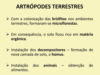 ARTRÓPODES TERRESTRES
 Com a colonização das briófitas nos ambientes
terrestres, formaram-se microflorestas.
 Em consequência, o solo ficou rico em matéria
orgânica.
 Instalação dos decompositores – formação de
nova camada de solo, o húmus.
 Instalação dos animais – obtenção de
alimentos.
 