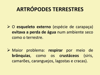 ARTRÓPODES TERRESTRES
 O esqueleto externo (espécie de carapaça)
evitava a perda de água num ambiente seco
como o terrestre.
 Maior problema: respirar por meio de
brânquias, como os crustáceos (siris,
camarões, caranguejos, lagostas e cracas).
 