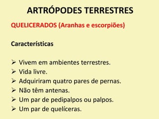 ARTRÓPODES TERRESTRES
QUELICERADOS (Aranhas e escorpiões)
Características
 Vivem em ambientes terrestres.
 Vida livre.
 Adquiriram quatro pares de pernas.
 Não têm antenas.
 Um par de pedipalpos ou palpos.
 Um par de quelíceras.
 