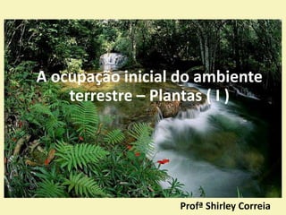 Profª Shirley Correia
A ocupação inicial do ambiente
terrestre – Plantas ( I )
 