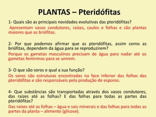 PLANTAS – Pteridófitas
1- Quais são as principais novidades evolutivas das pteridófitas?
Apresentam vasos condutores, raízes, caules e folhas e são plantas
maiores que as briófitas.
2- Por que podemos afirmar que as pteridófitas, assim como as
briófitas, dependem da água para se reproduzirem?
Porque os gametas masculinos precisam de água para nadar até os
gametas femininos para se unirem.
3- O que são soros e qual a sua função?
Os soros são estruturas encontradas na face inferior das folhas das
pteridófitas e são responsáveis pela produção de esporos.
4- Que substâncias são transportadas através dos vasos condutores,
das raízes até as folhas? E das folhas para todas as partes das
pteridófitas?
Das raízes até as folhas – água e sais minerais e das folhas para todas as
partes da planta – alimento (glicose).
 