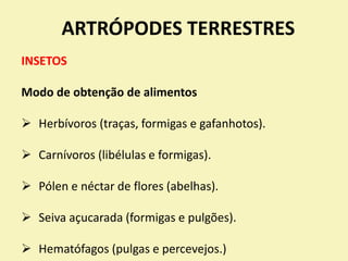 ARTRÓPODES TERRESTRES
INSETOS
Modo de obtenção de alimentos
 Herbívoros (traças, formigas e gafanhotos).
 Carnívoros (libélulas e formigas).
 Pólen e néctar de flores (abelhas).
 Seiva açucarada (formigas e pulgões).
 Hematófagos (pulgas e percevejos.)
 