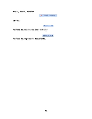 40 
Alejar, zoom, Acercar. 
Idioma. 
Numero de palabras en el documento. 
Número de páginas del documento. 

