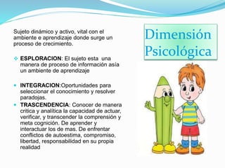 Dimensión 
Psicológica 
Sujeto dinámico y activo, vital con el 
ambiente e aprendizaje donde surge un 
proceso de crecimiento. 
 ESPLORACION: El sujeto esta una 
manera de proceso de información asía 
un ambiente de aprendizaje 
 INTEGRACION:Oportunidades para 
seleccionar el conocimiento y resolver 
paradojas. 
 TRASCENDENCIA: Conocer de manera 
critica y analítica la capacidad de actuar, 
verificar, y transcender la comprensión y 
meta cognición. De aprender y 
interactuar los de mas. De enfrentar 
conflictos de autoestima, compromiso, 
libertad, responsabilidad en su propia 
realidad 
 