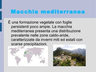ECONOMIA: la pesca,l'industria e il commercio marittimo sono le attività più sviluppate.  
