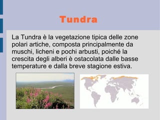 CLIMA: rigido e freddo ma le acque sono mitigate dalla corrente del golfo del Messico; 