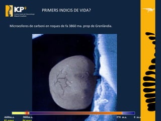 PRIMERS INDICIS DE VIDA?
Microesferes de carboni en roques de fa 3860 ma. prop de Grenlàndia.
4600m.a. 3800m.a. 570 m.a. 0 m.a.
 