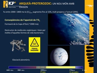 ARQUEÀ-PROTEROZOIC: UN NOU MÓN AMB
OXIGEN
Conseqüències de l’aparició de l’O2
Destructor de molècules orgàniques i tòxic per
moltes d’aquelles formes de vida bacteriana.
Formació de la Capa d’Ozó (~2000 ma).
Fa entre 2000 i 1800 ma la [O2]atm augmenta fins al 15%, molt propera a l’actual (20%).
Glaciació planetària.
570m.a.
21 novembre
2600m.a.
07 juny
4600 m.a. 3800 m.a. 0 m.a.
 