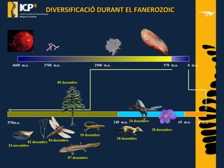 DIVERSIFICACIÓ DURANT EL FANEROZOICDIVERSIFICACIÓ DURANT EL FANEROZOIC
4600 m.a. 3700 m.a. 2500 m.a. 570 m.a. 0 m.a.
570m.a. 248 m.a. 65 m.a. 0 m.a.
24 novembre
02 desembre 04 desembre
05 desembre
07 desembre
10 desembre
18 desembre
24 desembre
28 desembre
 