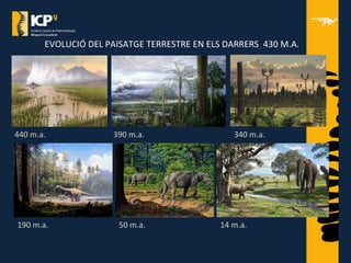 EVOLUCIÓ DEL PAISATGE TERRESTRE EN ELS DARRERS 430 M.A.
440 m.a. 390 m.a. 340 m.a.
190 m.a. 50 m.a. 14 m.a.
 