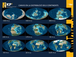 CANVIS EN LA DISTRIBUCIÓ DELS CONTINENTS
540 m.a. 430 m.a.
50 m.a.
240 m.a. 170 m.a. 90 m.a.
300 m.a.
20 m.a. 0,05 m.a.
 