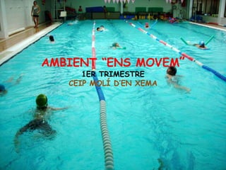 AMBIENT “ENS MOVEM”
      1ER TRIMESTRE
   CEIP MOLÍ D’EN XEMA
 