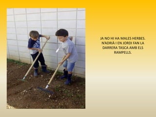 JA NO HI HA MALES HERBES.
N’ADRIÀ I EN JORDI FAN LA
DARRERA TASCA AMB ELS
RAMPELLS.
 