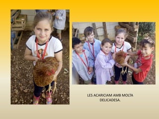 LES ACARICIAM AMB MOLTA
DELICADESA.
 