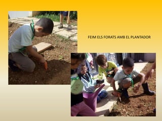 FEIM ELS FORATS AMB EL PLANTADOR
 