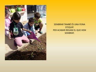 SEMBRAR TAMBÉ ÉS UNA FEINA
D’EQUIP.
PER ACABAR REGAM EL QUE HEM
SEMBRAT.
 