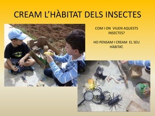 CREAM L’HÀBITAT DELS INSECTES
COM I ON VIUEN AQUESTS
INSECTES?
HO PENSAM I CREAM EL SEU
HÀBITAT.
 
