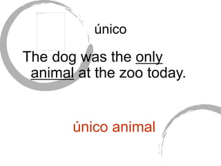 único
The dog was the only
animal at the zoo today.
único animal
 
