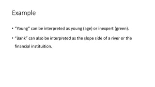 Example
• “Young” can be interpreted as young (age) or inexpert (green).
• “Bank” can also be interpreted as the slope side of a river or the
financial instituition.
 