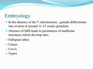 Embryology
 In the absence of the Y chromosome , gonads differentiate
into ovaries at around 11-13 weeks gestation.
 Absence of MIS leads to persistence of mullerian
structures which develop into:
Fallopian tubes
Uterus
 Cervix
 Vagina
 