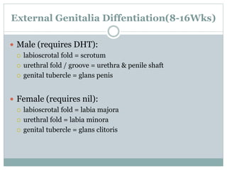 AMBIGUOUS GENITALIA
 When the external genitalia do not have the typical
anatomic appearance of normal male or female
gen...