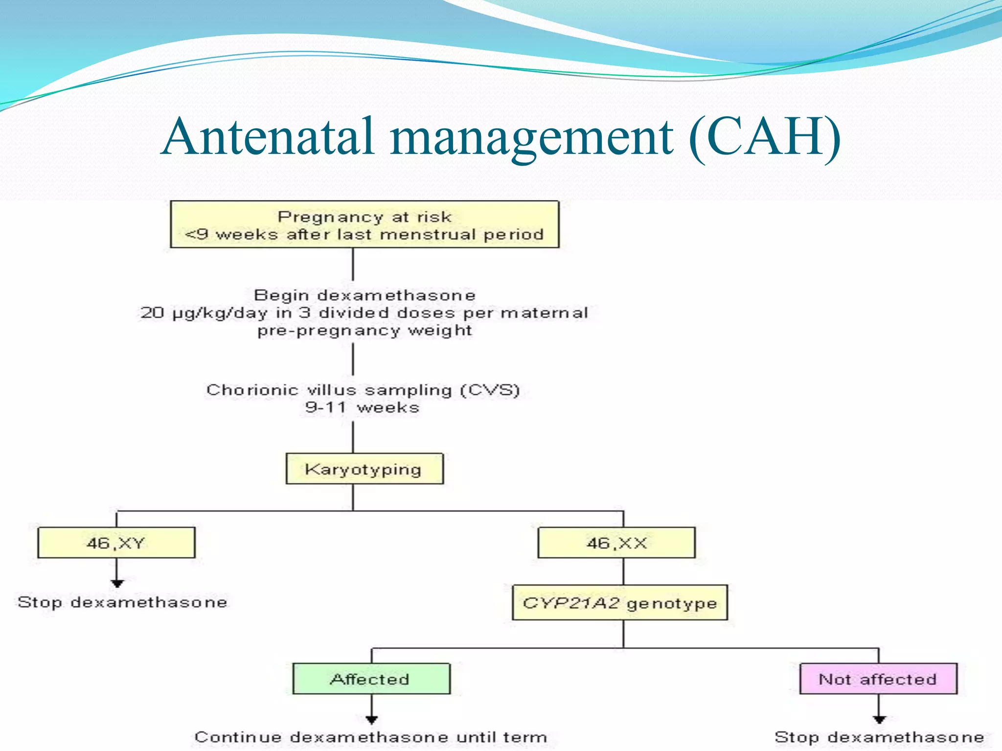 Antenatal management (CAH)

 