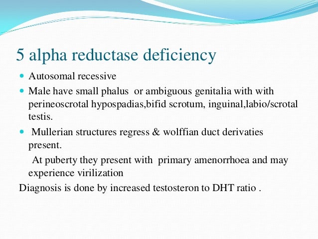 Repair Of Bifid Chordee Repair Orchiopexy 50 Repair Of Bifid Chordee Repair Orchiopexy 50