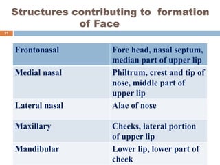 Structures contributing to formation
of Face
Frontonasal Fore head, nasal septum,
median part of upper lip
Medial nasal Philtrum, crest and tip of
nose, middle part of
upper lip
Lateral nasal Alae of nose
Maxillary Cheeks, lateral portion
of upper lip
Mandibular Lower lip, lower part of
cheek
11
 