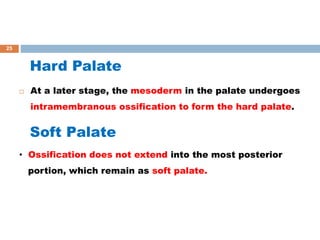 Hard Palate
 At a later stage, the mesoderm in the palate undergoes
intramembranous ossification to form the hard palate.
Soft Palate
• Ossification does not extend into the most posterior
portion, which remain as soft palate.
25
 